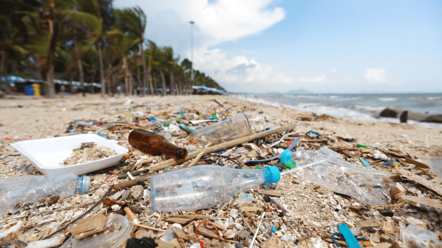 Why Are Our National Parks Getting Trashed? Global Trash Solutions