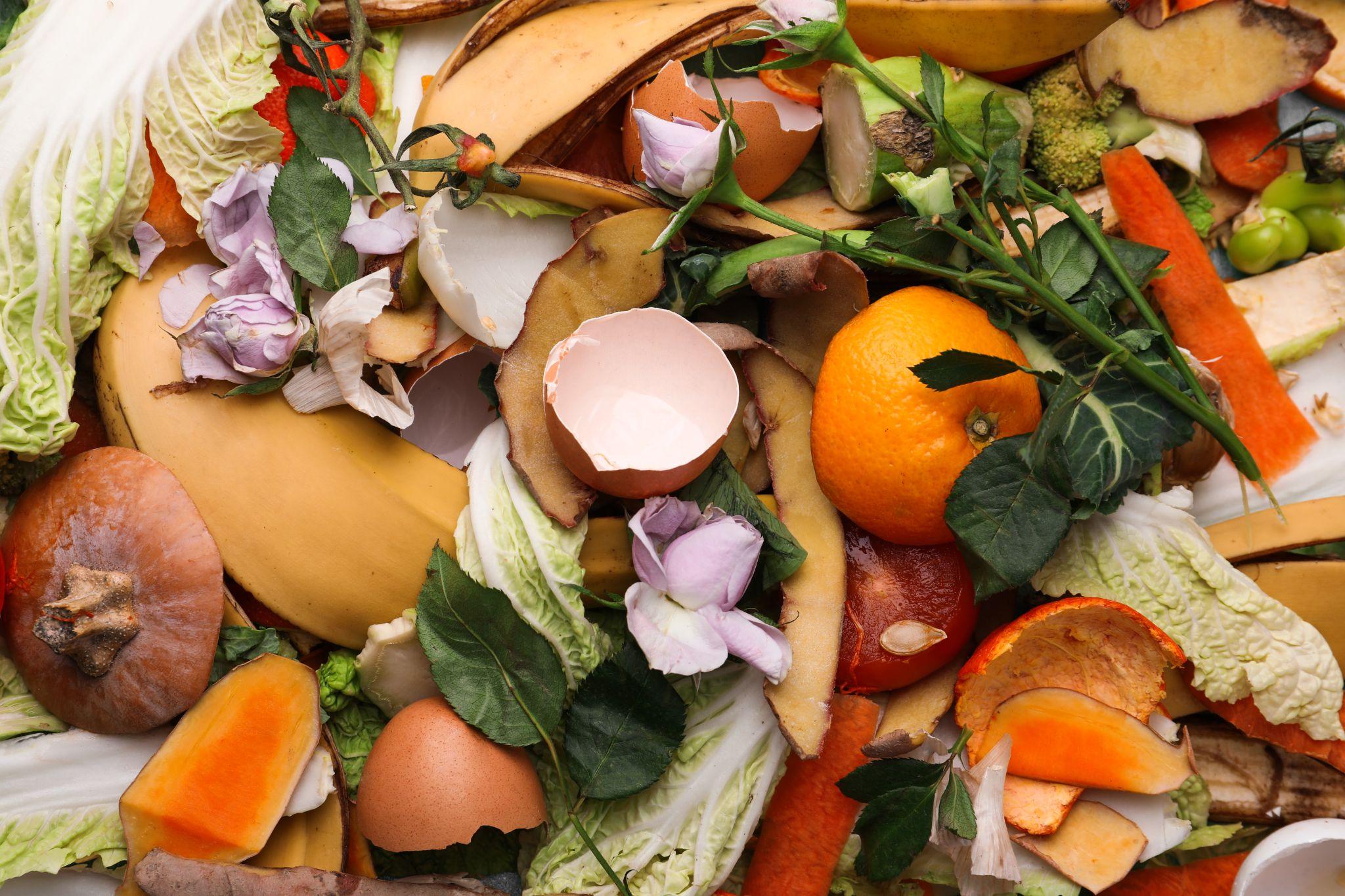 Pile of mixed food scraps and peels.