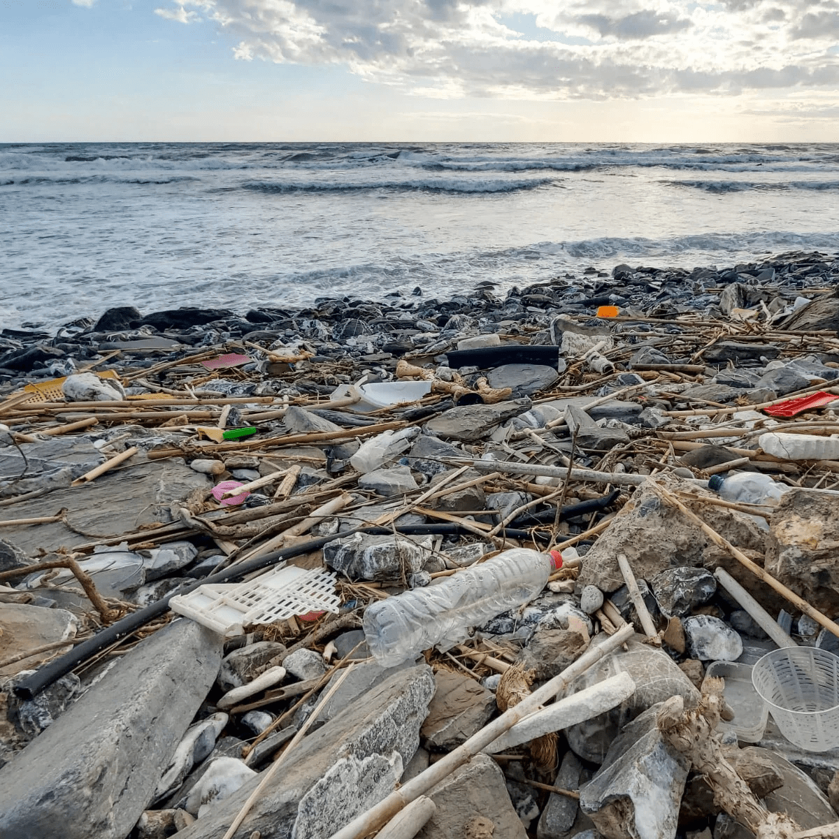 Offshore waste logistics coordination 