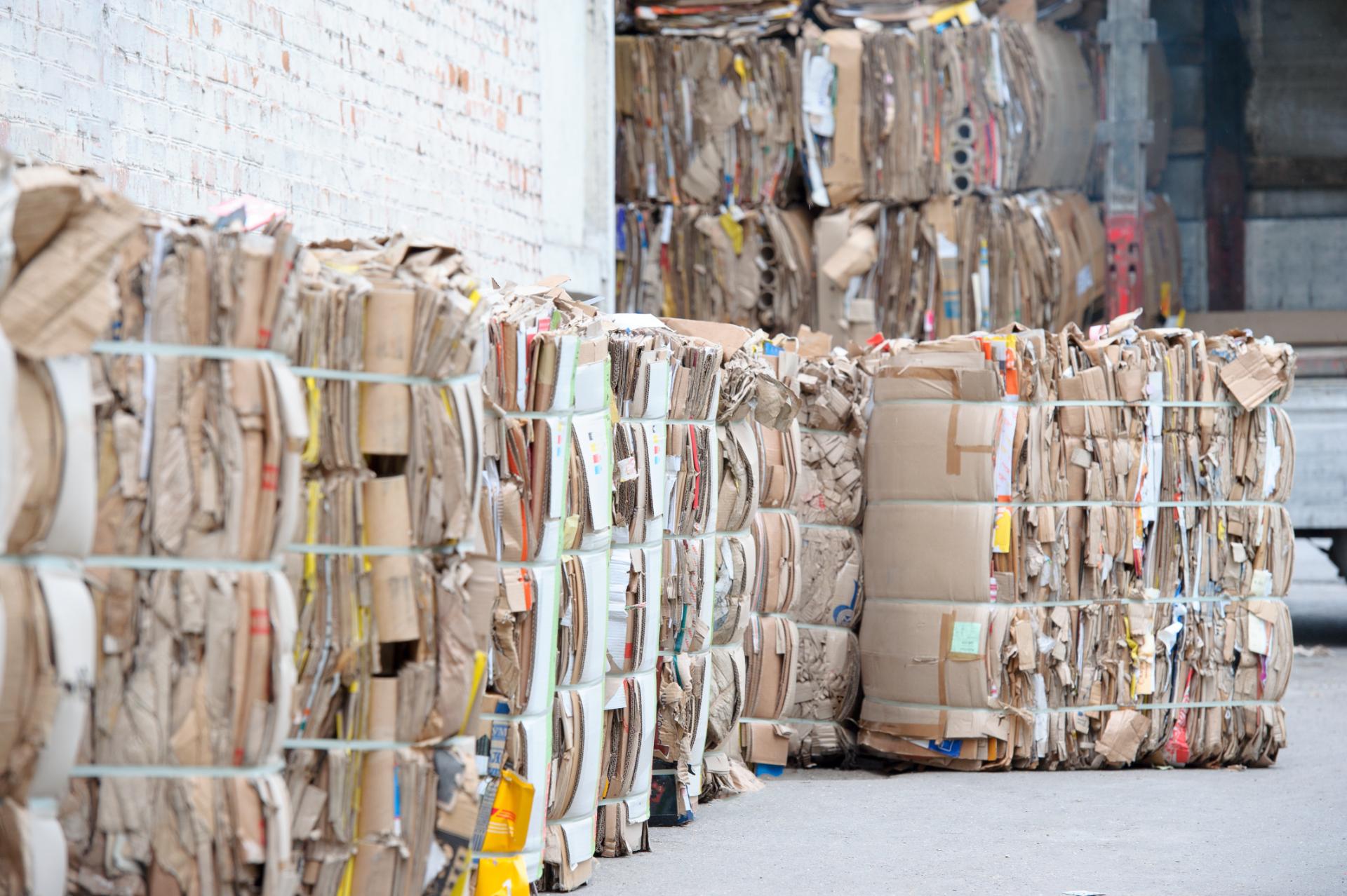 Business Benefits of Recycling Cardboard